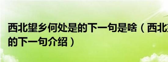 西北望乡何处是的下一句是啥（西北望乡何处的下一句介绍）