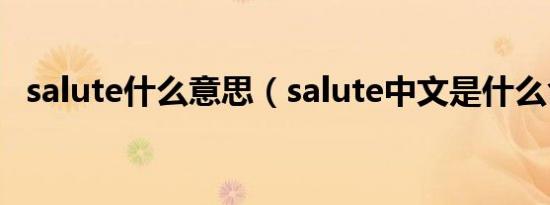 salute什么意思（salute中文是什么含义）