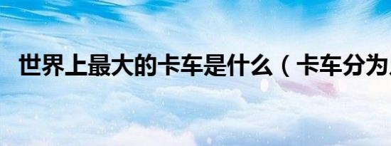 世界上最大的卡车是什么（卡车分为几类）