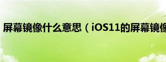 屏幕镜像什么意思（iOS11的屏幕镜像解释）