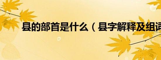 县的部首是什么（县字解释及组词）