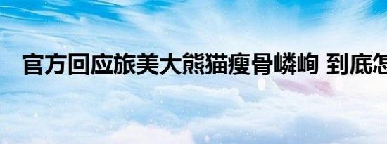 官方回应旅美大熊猫瘦骨嶙峋 到底怎样的