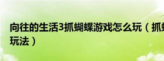 向往的生活3抓蝴蝶游戏怎么玩（抓蝴蝶游戏玩法）