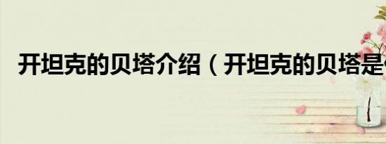 开坦克的贝塔介绍（开坦克的贝塔是什么）
