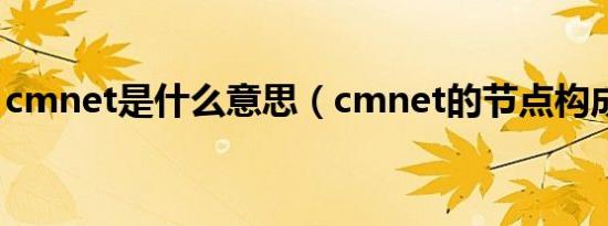 cmnet是什么意思（cmnet的节点构成城市）