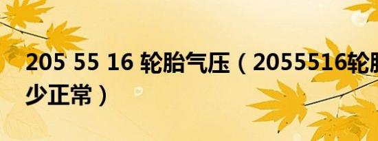 205 55 16 轮胎气压（2055516轮胎气压多少正常）