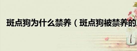 斑点狗为什么禁养（斑点狗被禁养的原因）