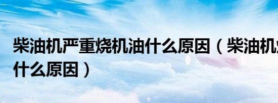 柴油机严重烧机油什么原因（柴油机烧机油是什么原因）