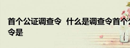 首个公证调查令 什么是调查令首个公证调查令是