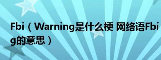Fbi（Warning是什么梗 网络语Fbi Warning的意思）