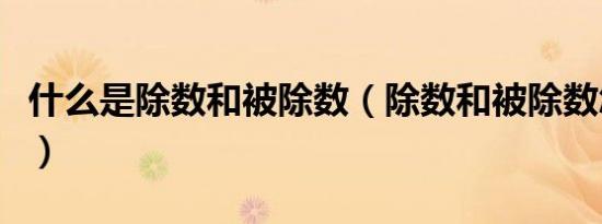 什么是除数和被除数（除数和被除数怎么区分）