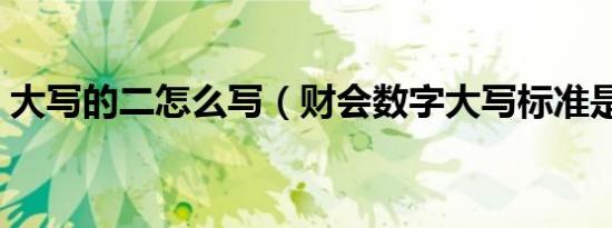 大写的二怎么写（财会数字大写标准是什么）