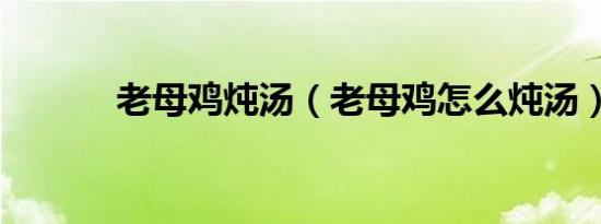 老母鸡炖汤（老母鸡怎么炖汤）