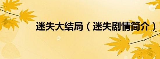 迷失大结局（迷失剧情简介）