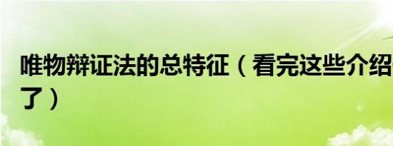 唯物辩证法的总特征（看完这些介绍你就明白了）