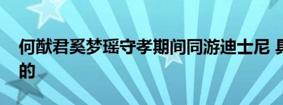 何猷君奚梦瑶守孝期间同游迪士尼 具体怎样的