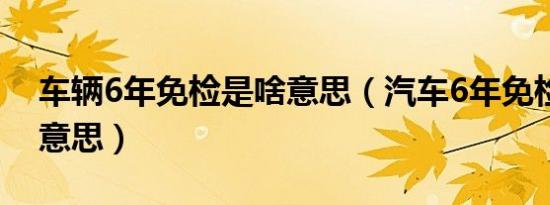 车辆6年免检是啥意思（汽车6年免检是什么意思）