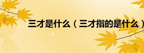三才是什么（三才指的是什么）