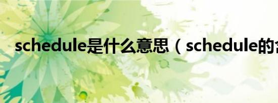 schedule是什么意思（schedule的含义）