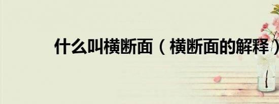 什么叫横断面（横断面的解释）