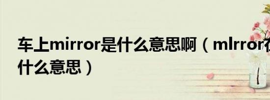 车上mirror是什么意思啊（mlrror在车里是什么意思）
