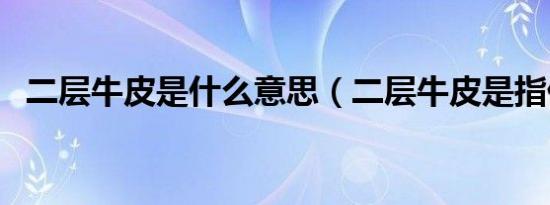 二层牛皮是什么意思（二层牛皮是指什么）