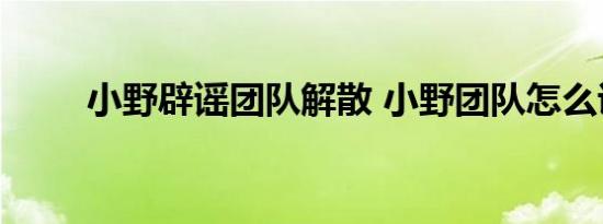 小野辟谣团队解散 小野团队怎么说