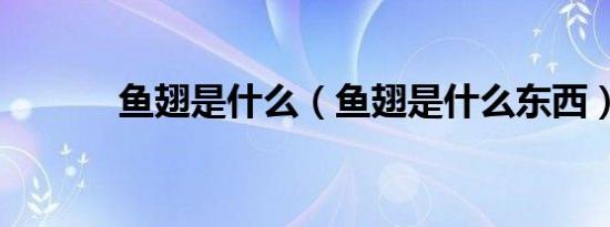 鱼翅是什么（鱼翅是什么东西）