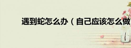 遇到蛇怎么办（自己应该怎么做）