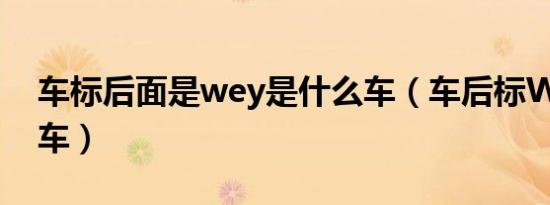 车标后面是wey是什么车（车后标WEY什么车）