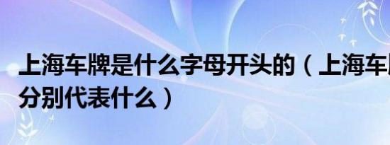 上海车牌是什么字母开头的（上海车牌号字母分别代表什么）