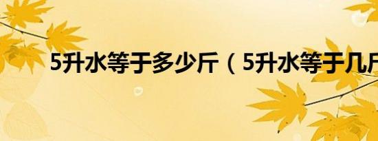 5升水等于多少斤（5升水等于几斤）