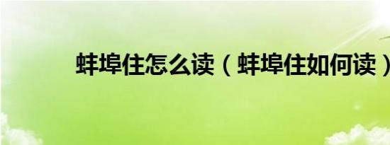 蚌埠住怎么读（蚌埠住如何读）
