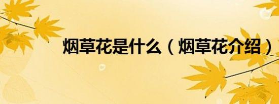烟草花是什么（烟草花介绍）