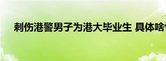 刺伤港警男子为港大毕业生 具体啥情况