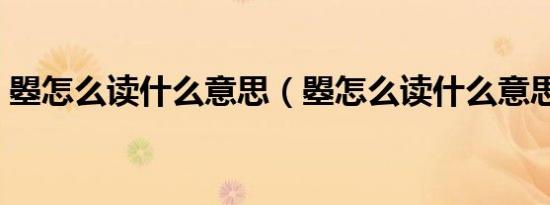 曌怎么读什么意思（曌怎么读什么意思详解）