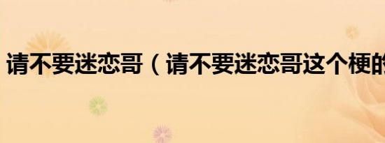 请不要迷恋哥（请不要迷恋哥这个梗的解释）