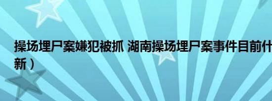 操场埋尸案嫌犯被抓 湖南操场埋尸案事件目前什么进展(最新）