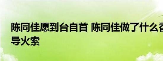 陈同佳愿到台自首 陈同佳做了什么香港事件导火索