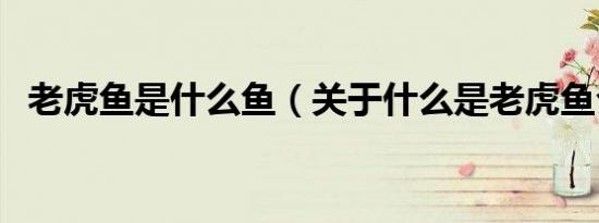 老虎鱼是什么鱼（关于什么是老虎鱼介绍）