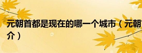 元朝首都是现在的哪一个城市（元朝首都的简介）