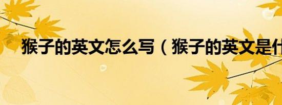猴子的英文怎么写（猴子的英文是什么）