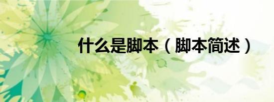 什么是脚本（脚本简述）