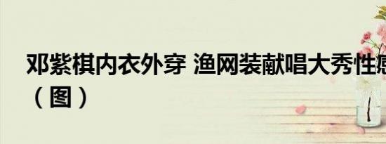 邓紫棋内衣外穿 渔网装献唱大秀性感早吐槽（图）