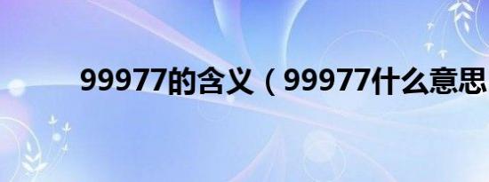99977的含义（99977什么意思）