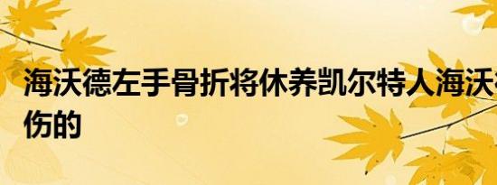 海沃德左手骨折将休养凯尔特人海沃德怎么受伤的