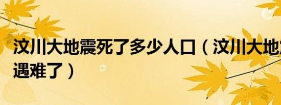 汶川大地震死了多少人口（汶川大地震多少人遇难了）