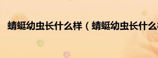 蜻蜓幼虫长什么样（蜻蜓幼虫长什么样的）