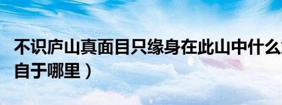 不识庐山真面目只缘身在此山中什么意思（出自于哪里）