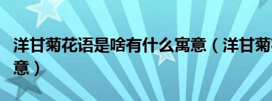 洋甘菊花语是啥有什么寓意（洋甘菊花语的寓意）